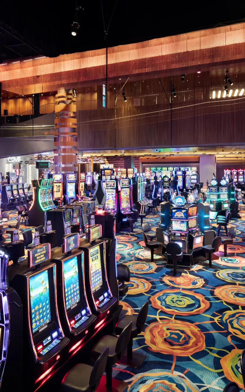 Gamblers Casino Party Bus Seattle